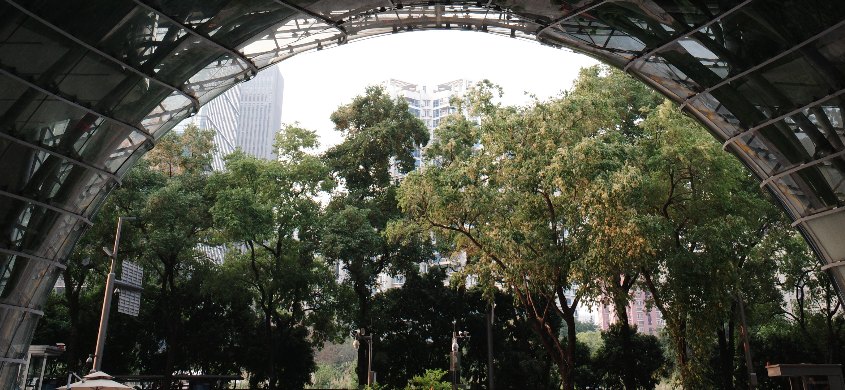 Фотоальбом: как мы побывали в Гонконге и материковом Китае весной 2026 года