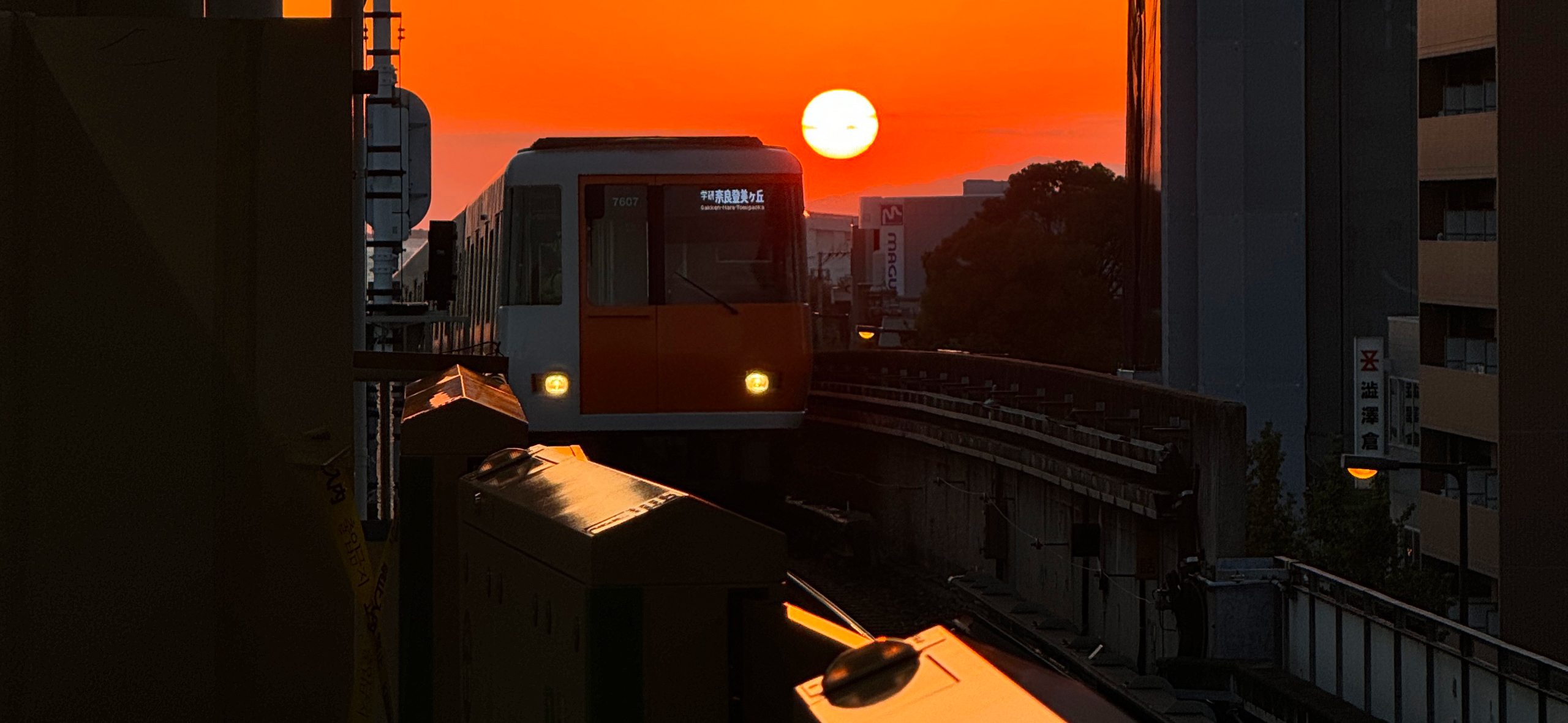 Фотоальбом: осен­ние кадры из Токио, Киото, Осаки и Нары