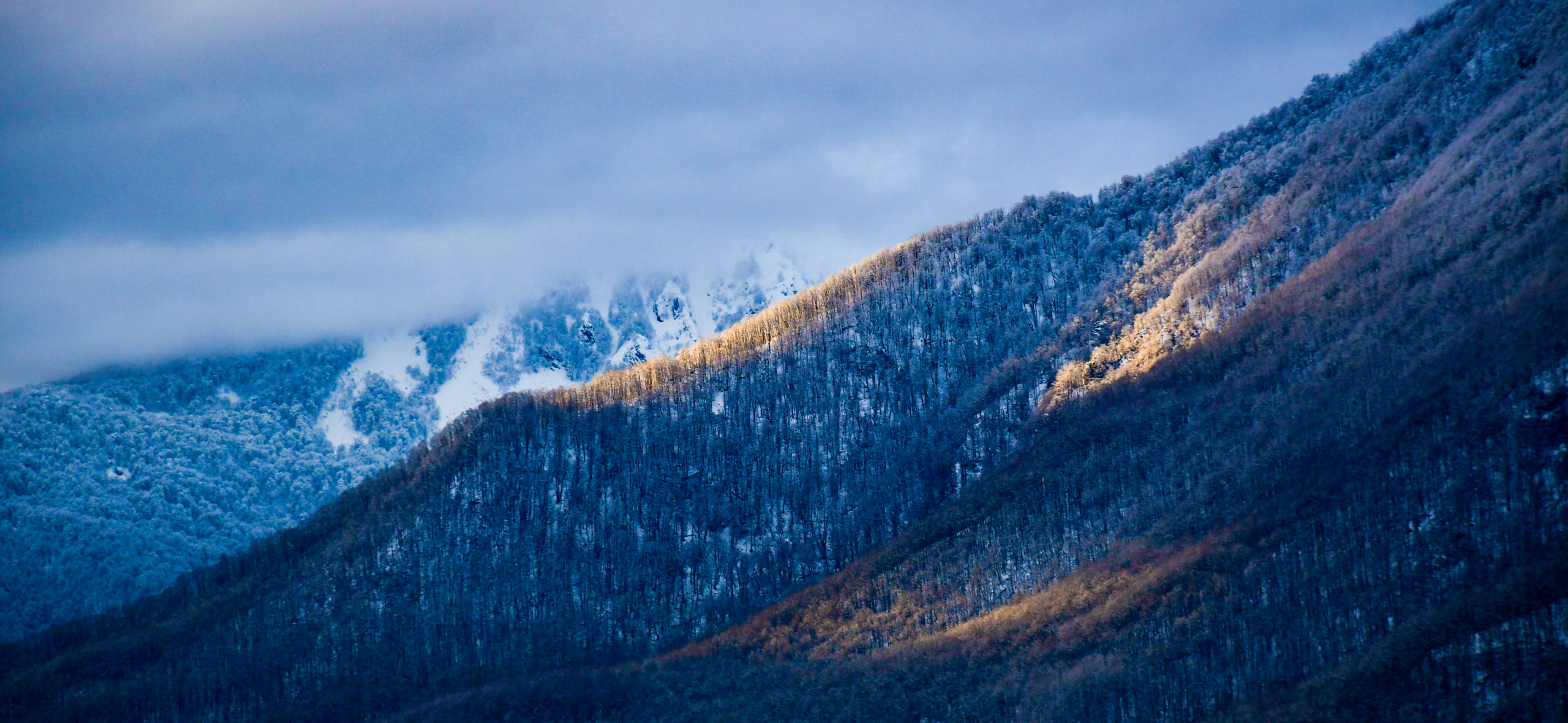 Фотоальбом: как я побывала в горах Сочи в феврале 2026 года