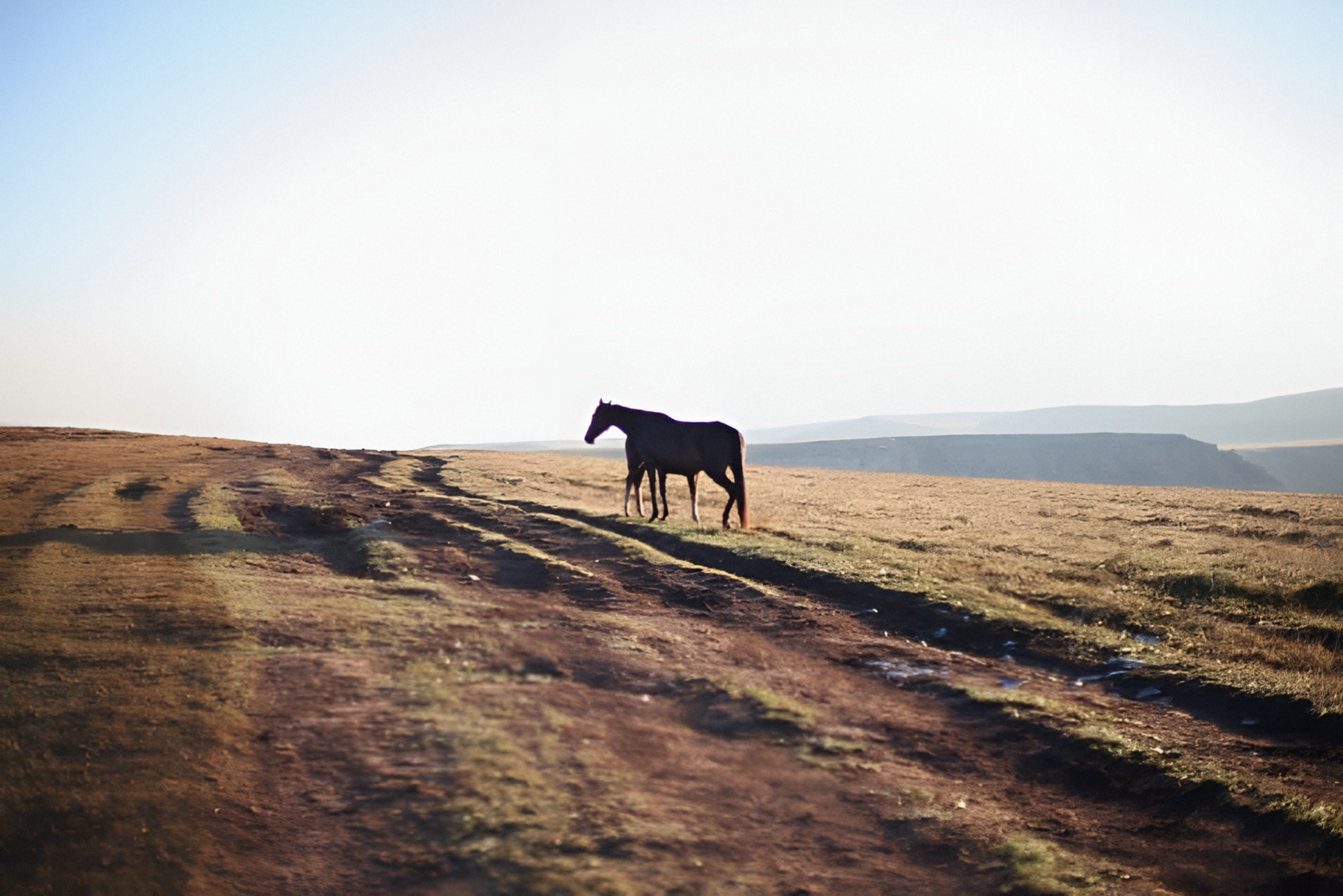 С первыми лучами солнца выбегают пастись лошади из местных деревень. Звук от их колокольчиков удивительно красив и наполняет всю поляну