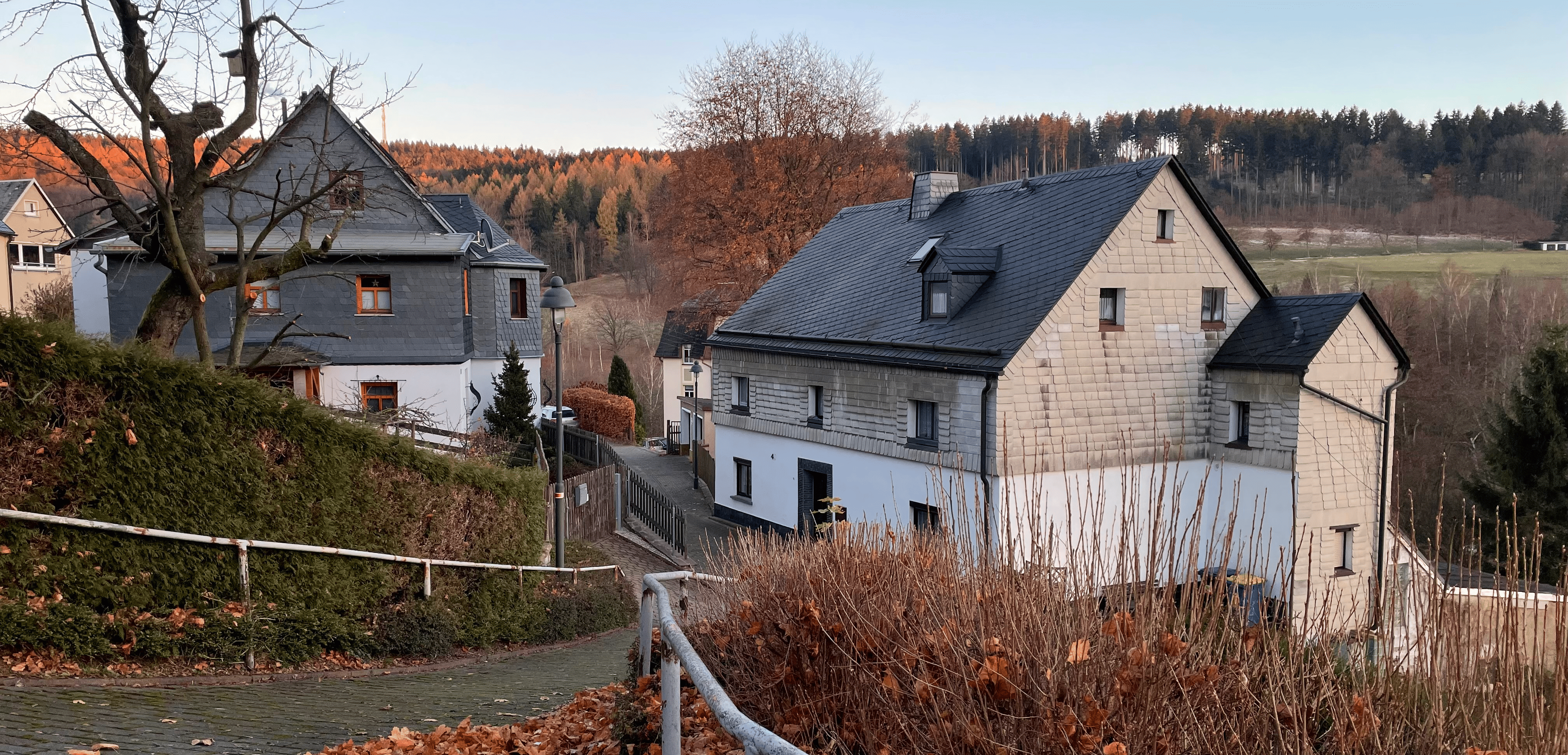 Фотоальбом: как я гулял по Шнебергу осенью