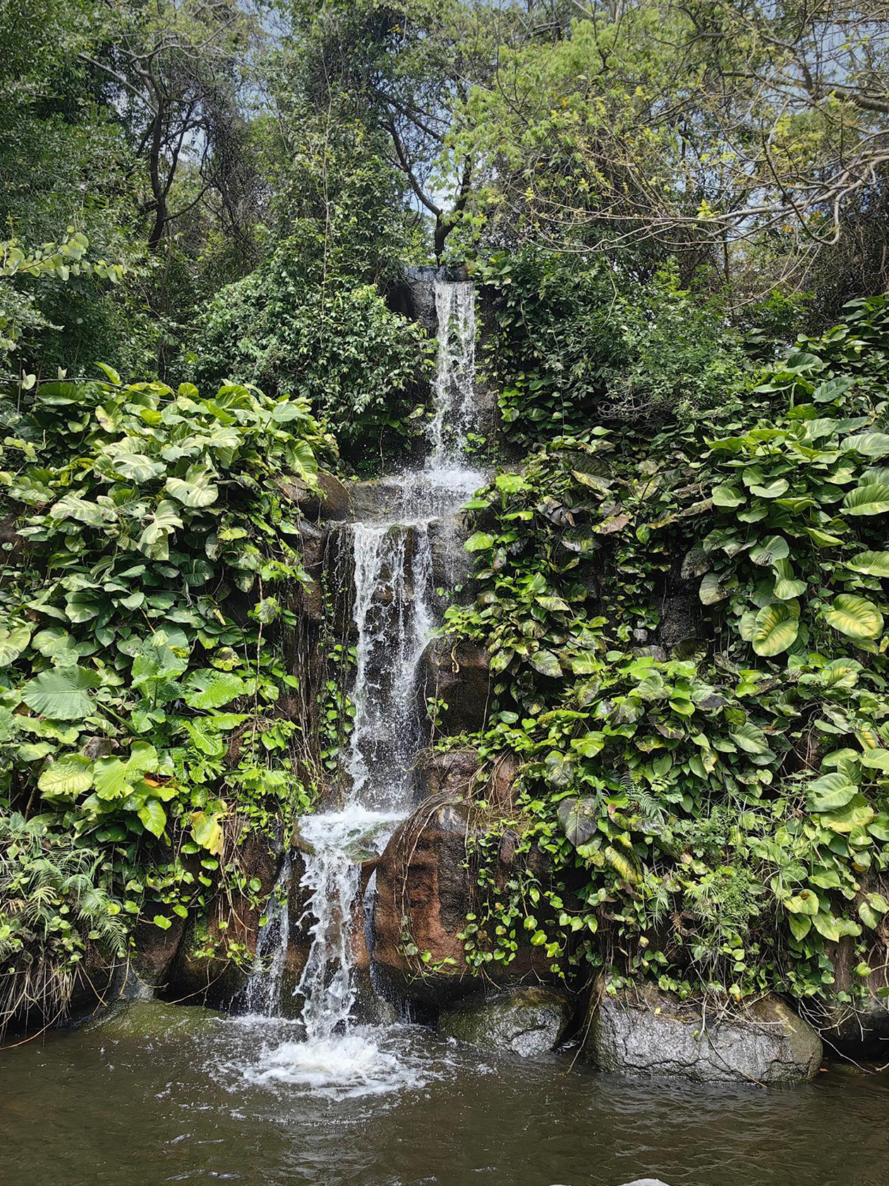 Небольшой водопад в «Тропическом раю в Ялонг Бэе»