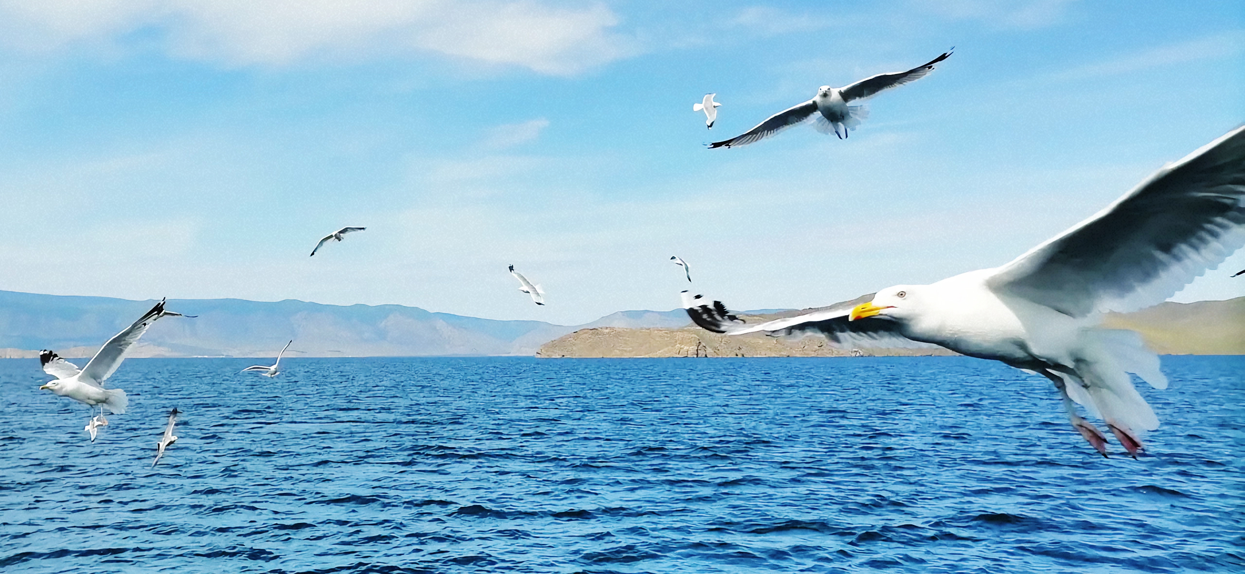 Байкал в разное время года: 4 фото­альбома из путе­шествий