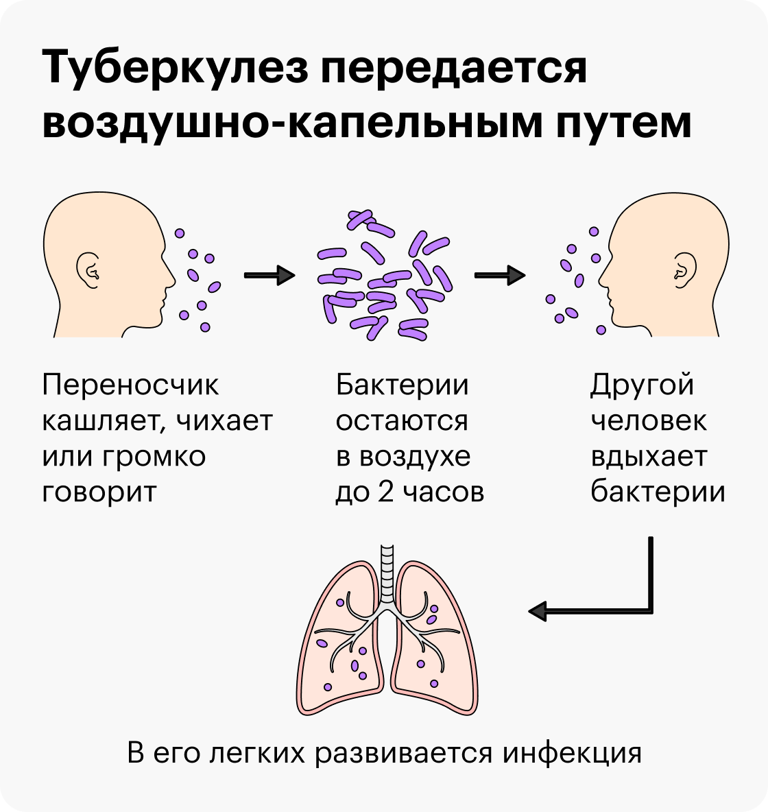 Сколько живет палочка Коха, как долго бактерии туберкулеза заразны вне  организма