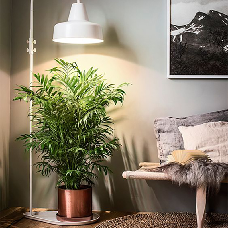 Светодиодные фитосветильники для растений по доступным ценам в интернет-магазине LedPremium
