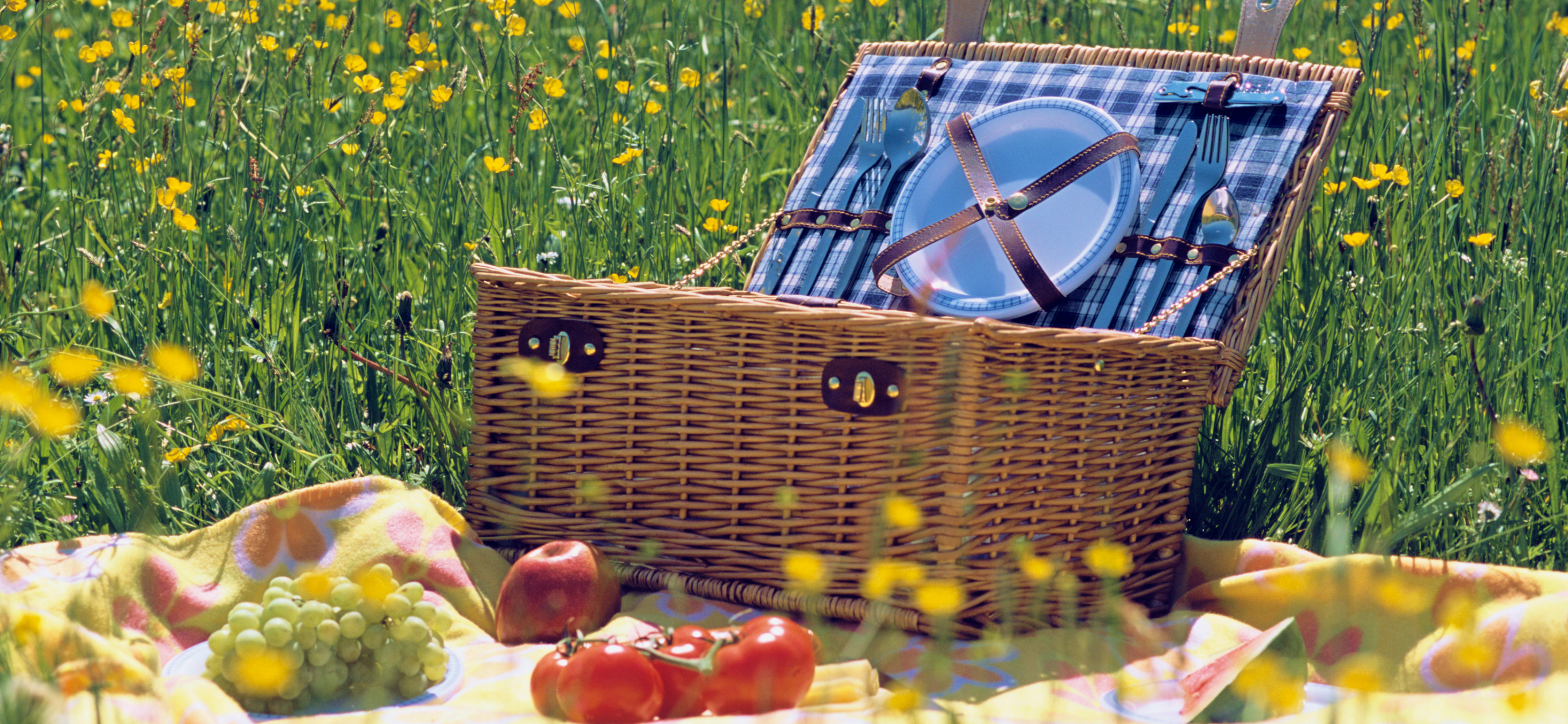 Что взять на пикник: 20 това­ров для иде­аль­ного дня на при­роде
