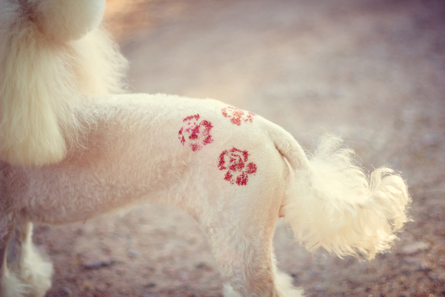 Вариант блеск⁠-⁠тату в форме роз. Фотография: alenka2194 / Shutterstock