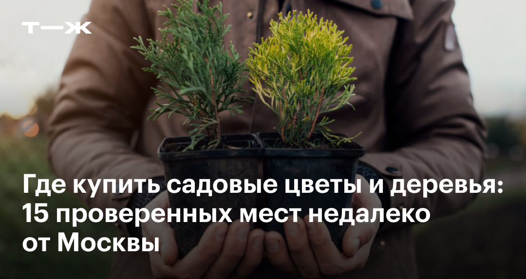 Питомники Подмосковья: где купить рассаду и саженцы