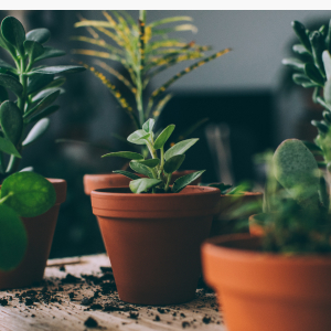 Обложка статьи