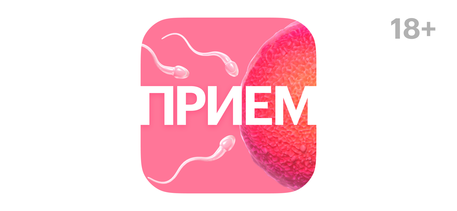 «Показывай бумажку с печатью, или никакого секса»: защитит ли ​справка от инфекций