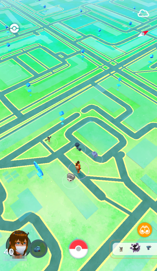 В игре нужно ходить по визуализации карты реальной местности и ловить покемонов