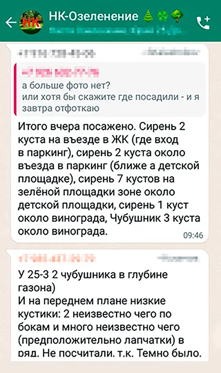 Все вопросы, планы и результаты посадок мы с инициативной группой обсуждали в чате по озеленению