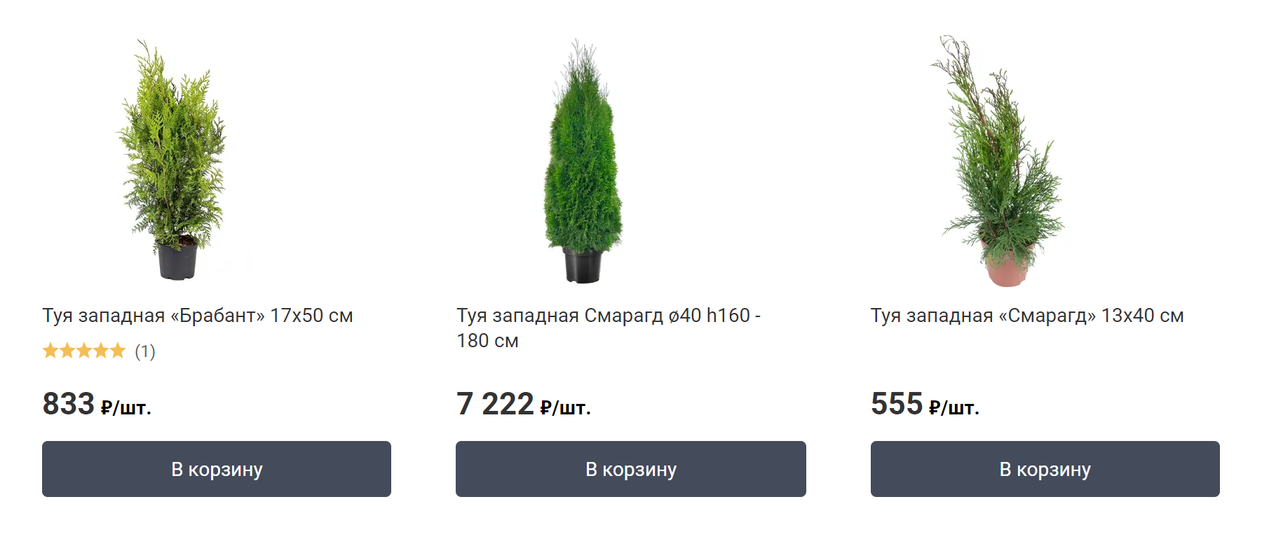Туи могут стоить от 300 до 5000⁠—⁠7000 ₽ в зависимости от сорта и размера. Источник: leroymerlin.ru