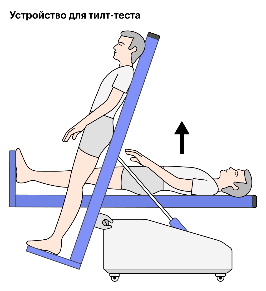 Горизонтальное положение картинка