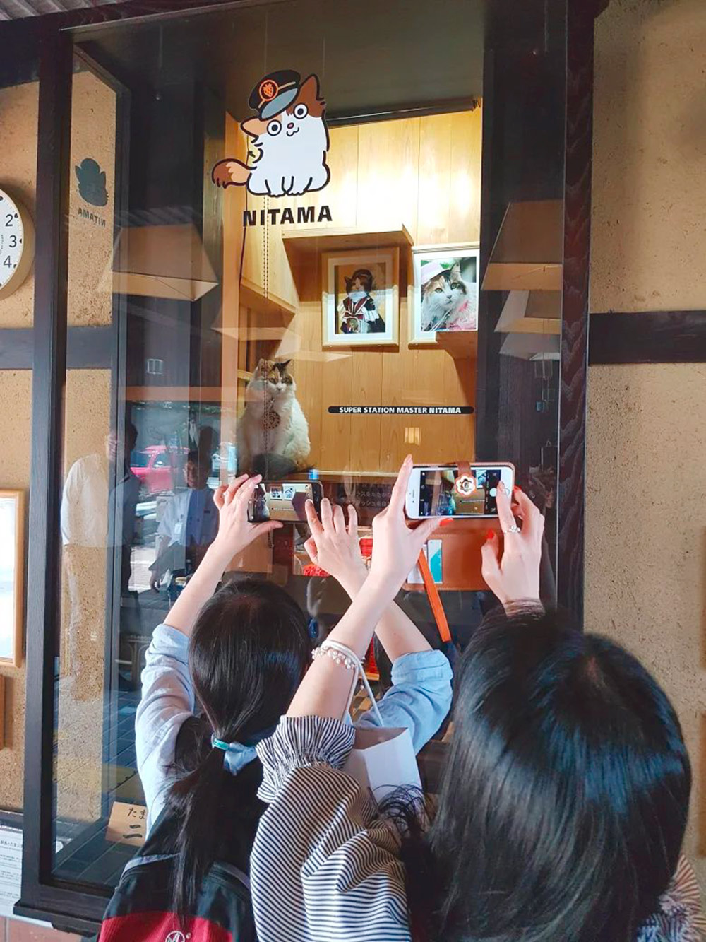 Журналисты окружили кота — смотрителя железнодорожной станции Киниси в городе Кинокама