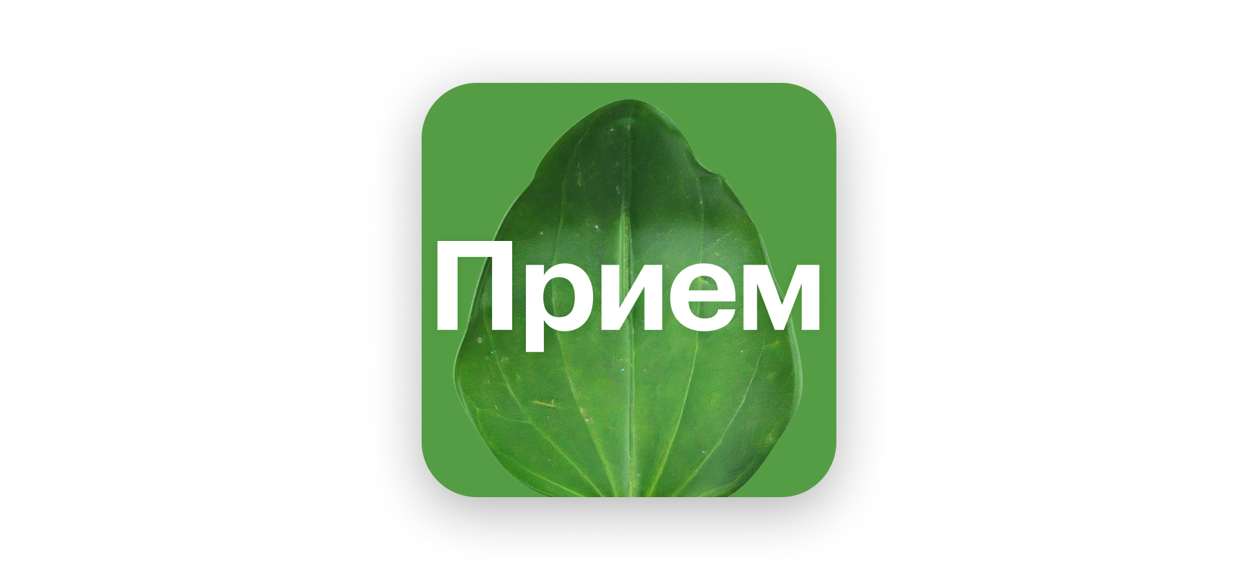 Подкаст «Прием»: самые странные способы лечиться
