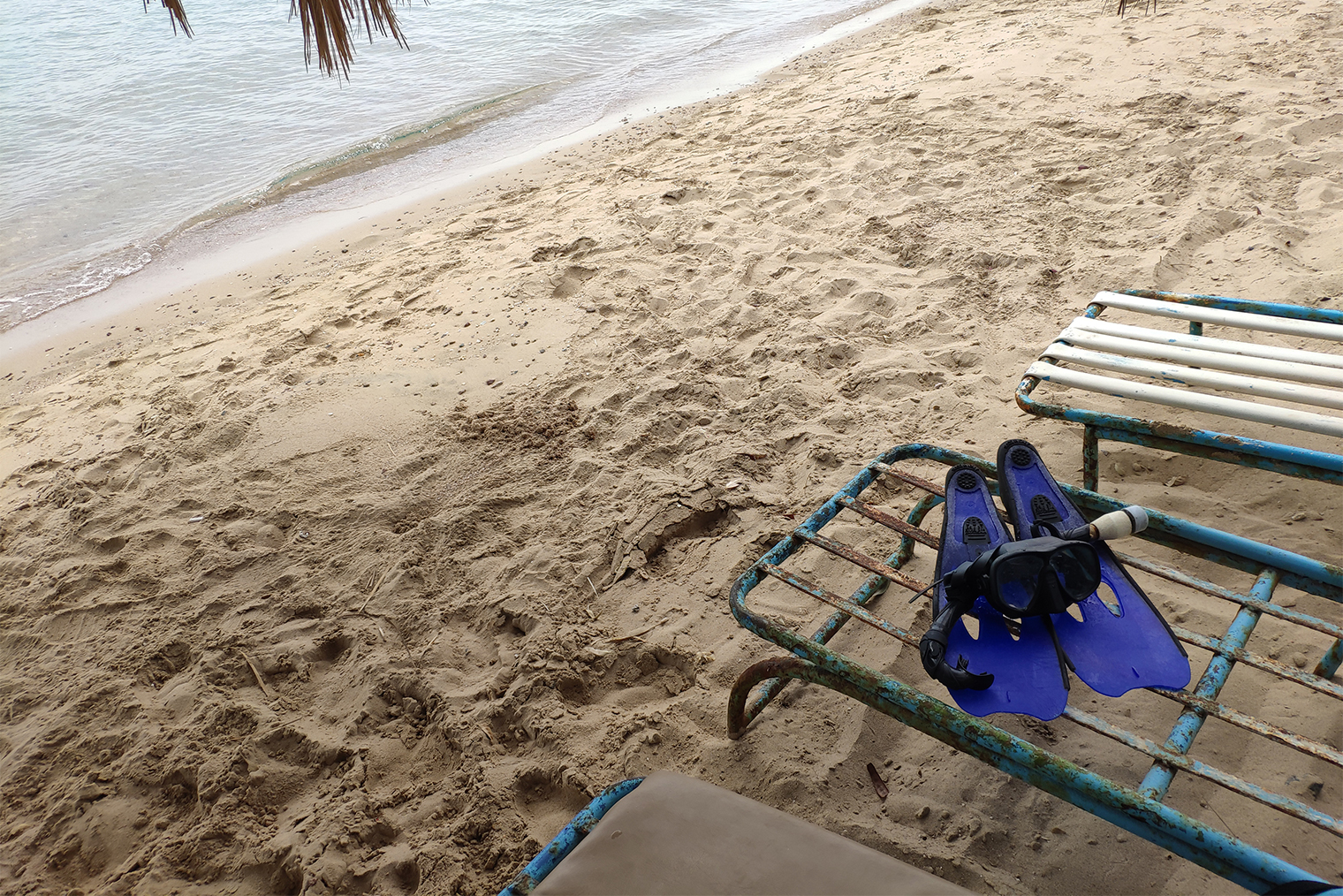 Лежаки на платном пляже с входом за четыре доллара