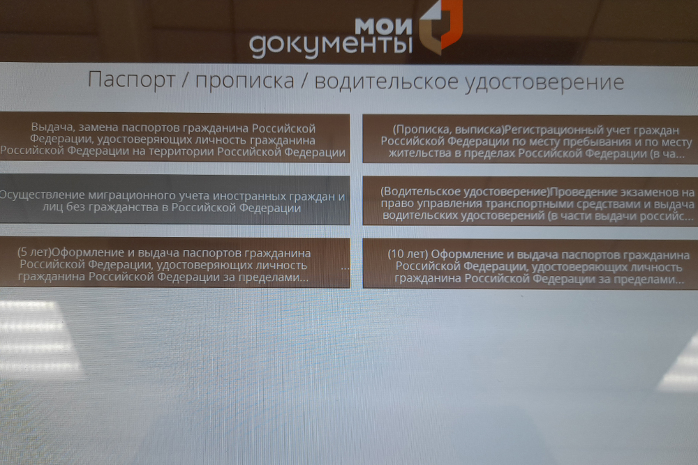 Далее — выбрать регистрационный учет граждан РФ