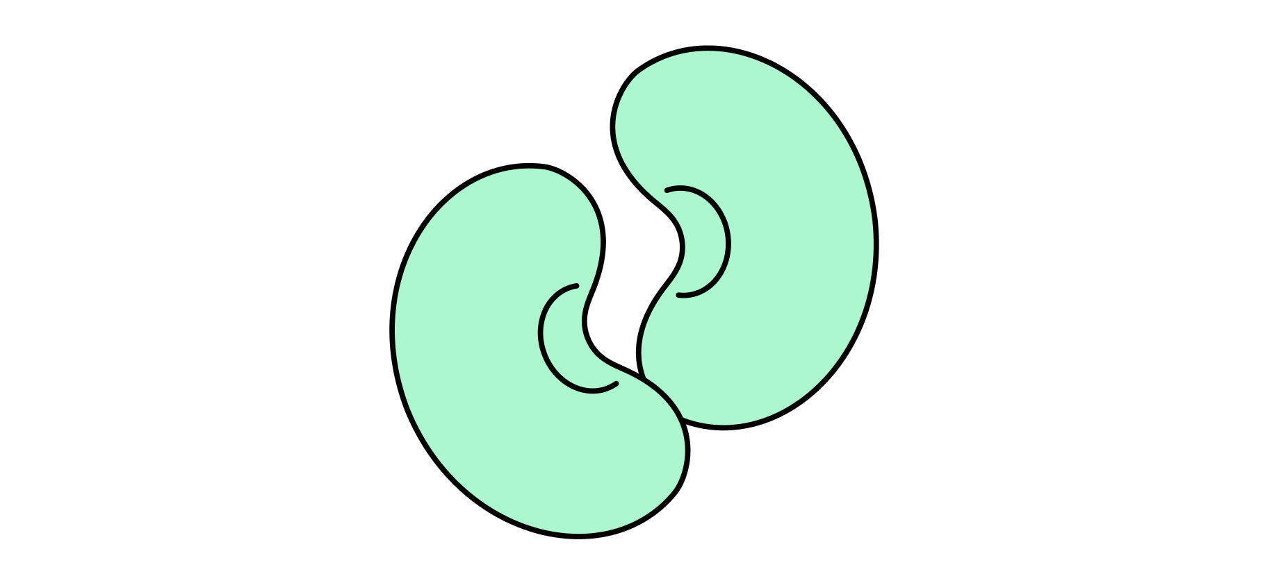 Правда ли, что избы­ток белка вредит почкам?