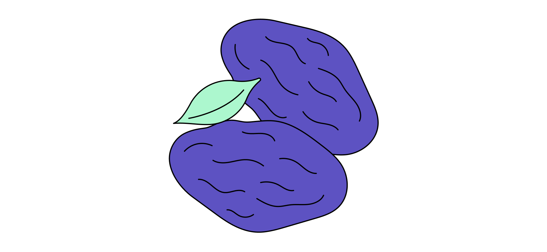 Говорят, чернослив полезен для здо­ровья и лечит запор. Правда?