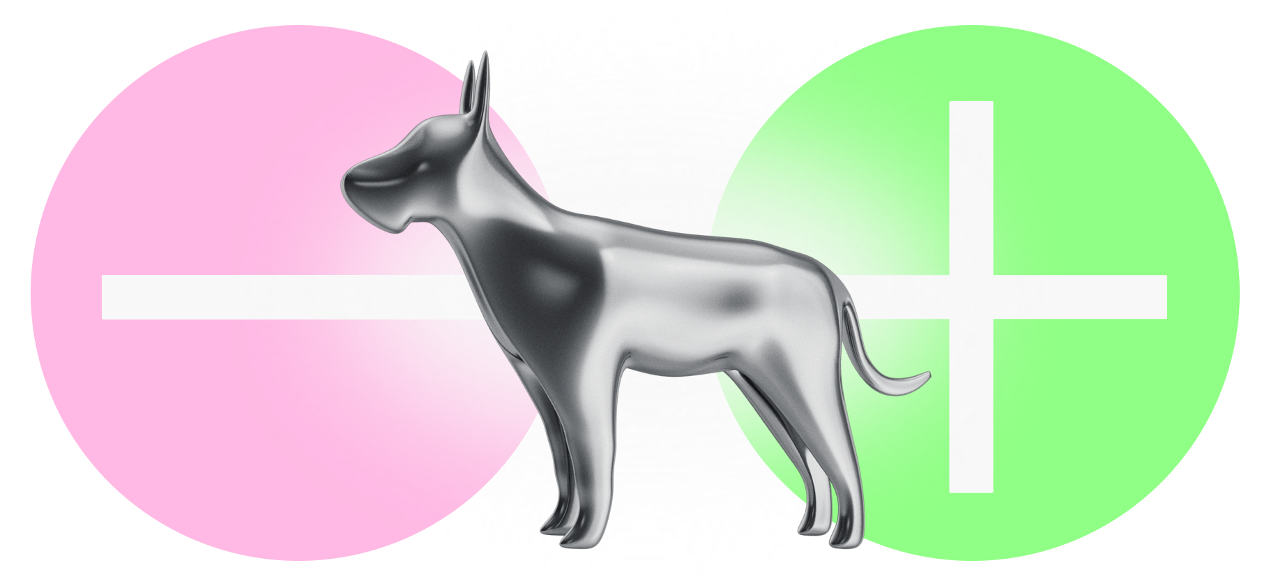 За и против: стоит ли​ заводить породи­стых домашних животных