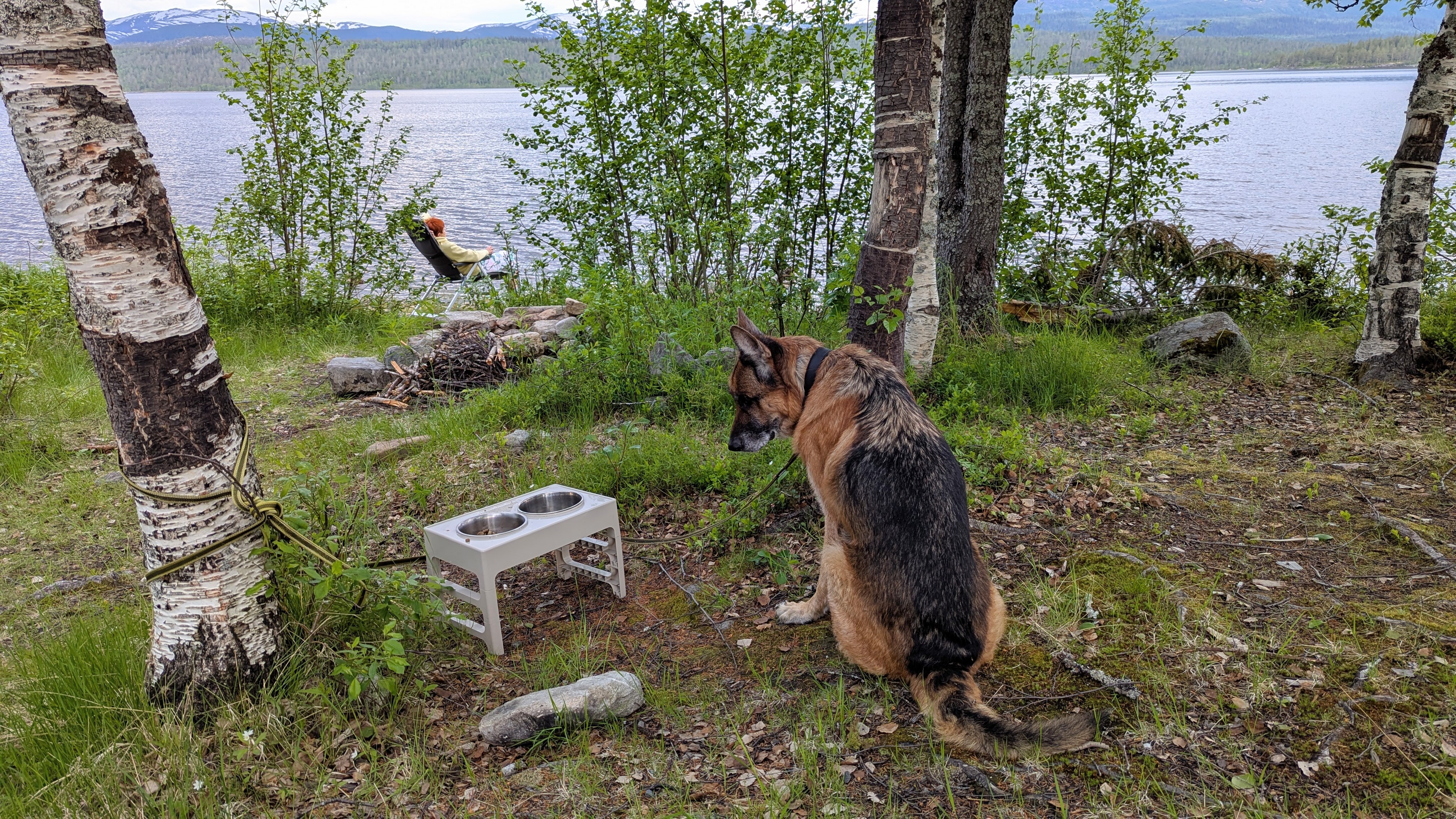 На берегу Store Svenningsvatnet