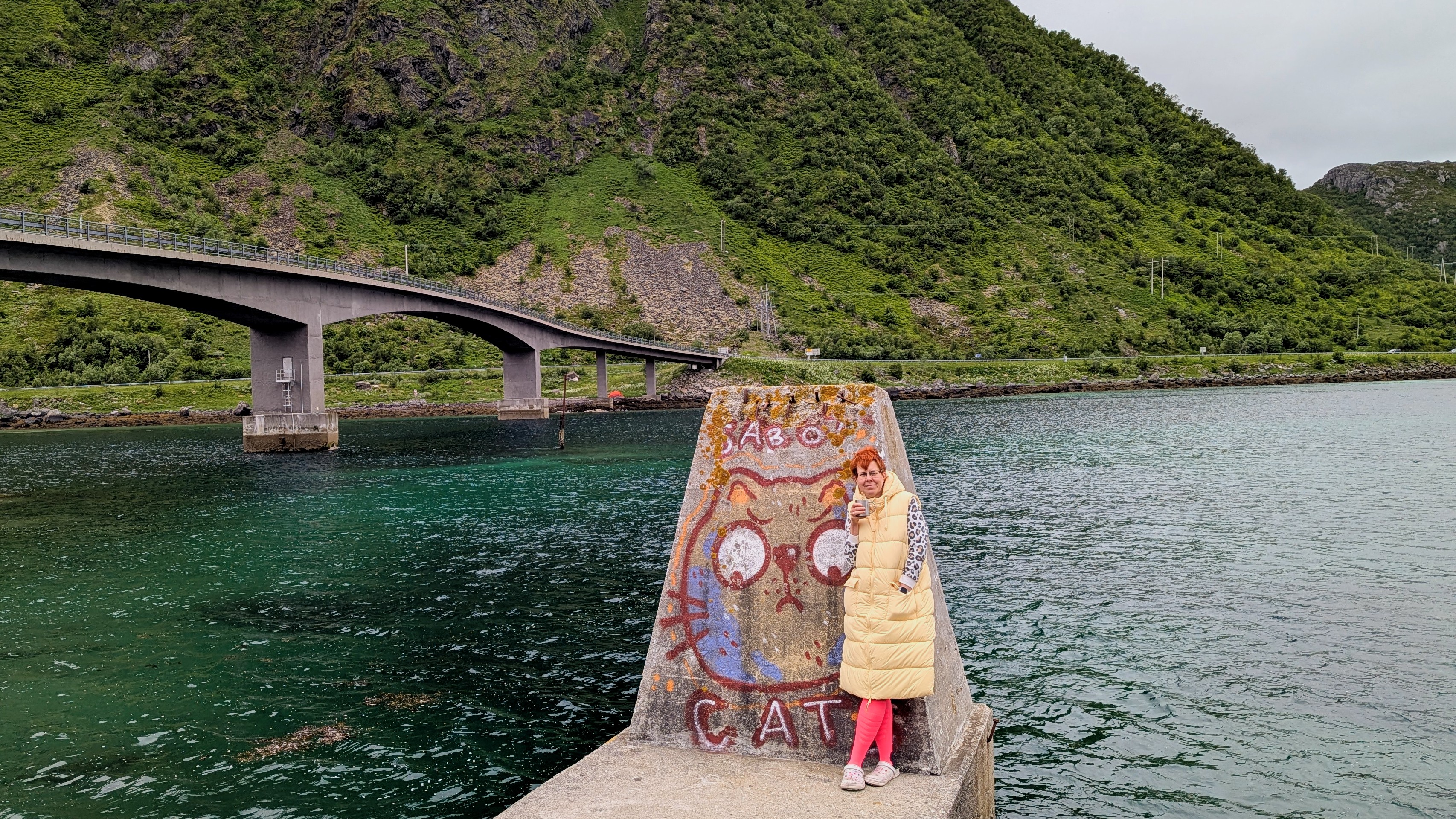 На берегу Северного моря, Лофотены, парковка под мостом Sundklakkstraumen