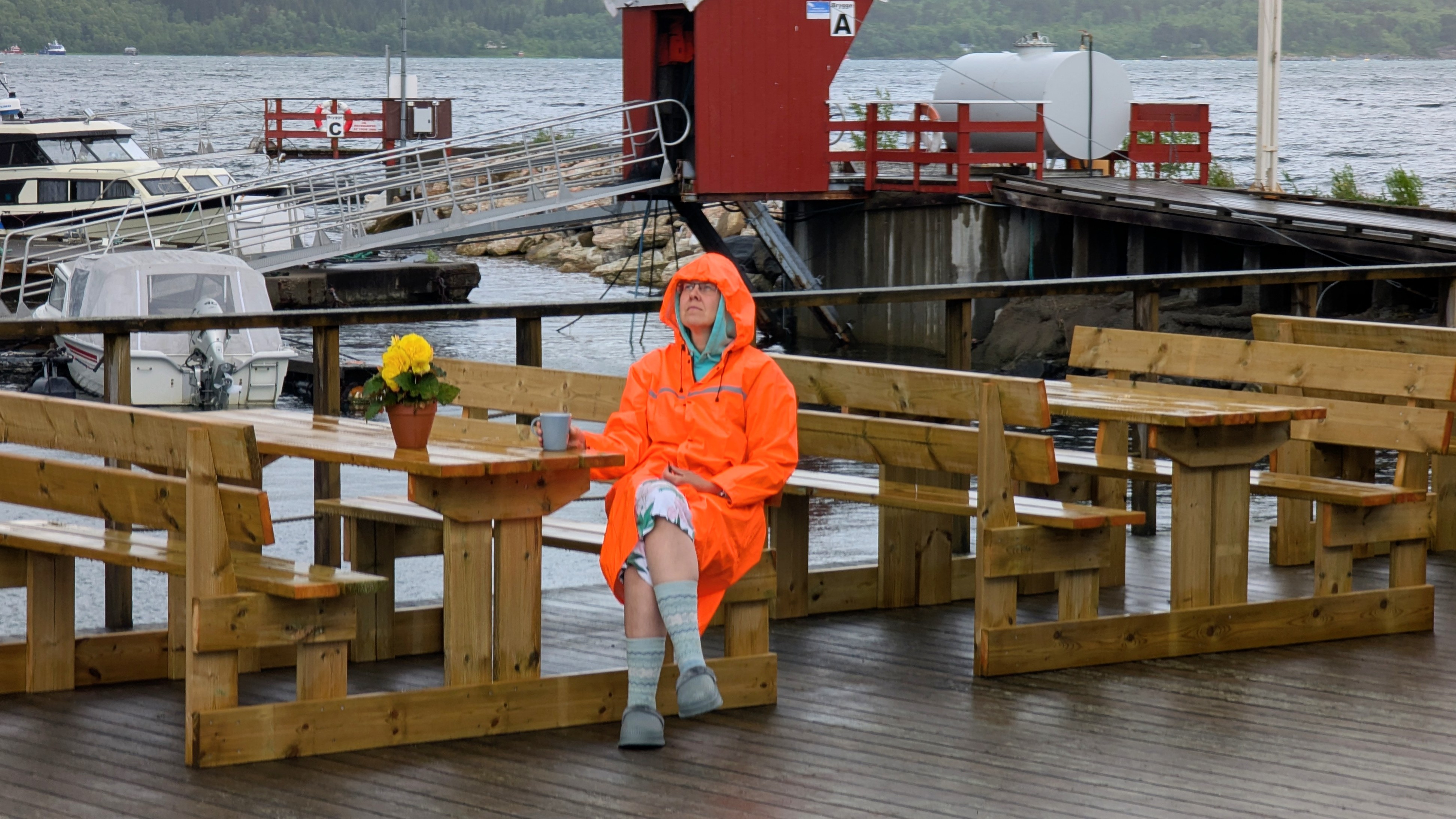 На берегу Saltdalsfjorden, рядом с городом Fauske