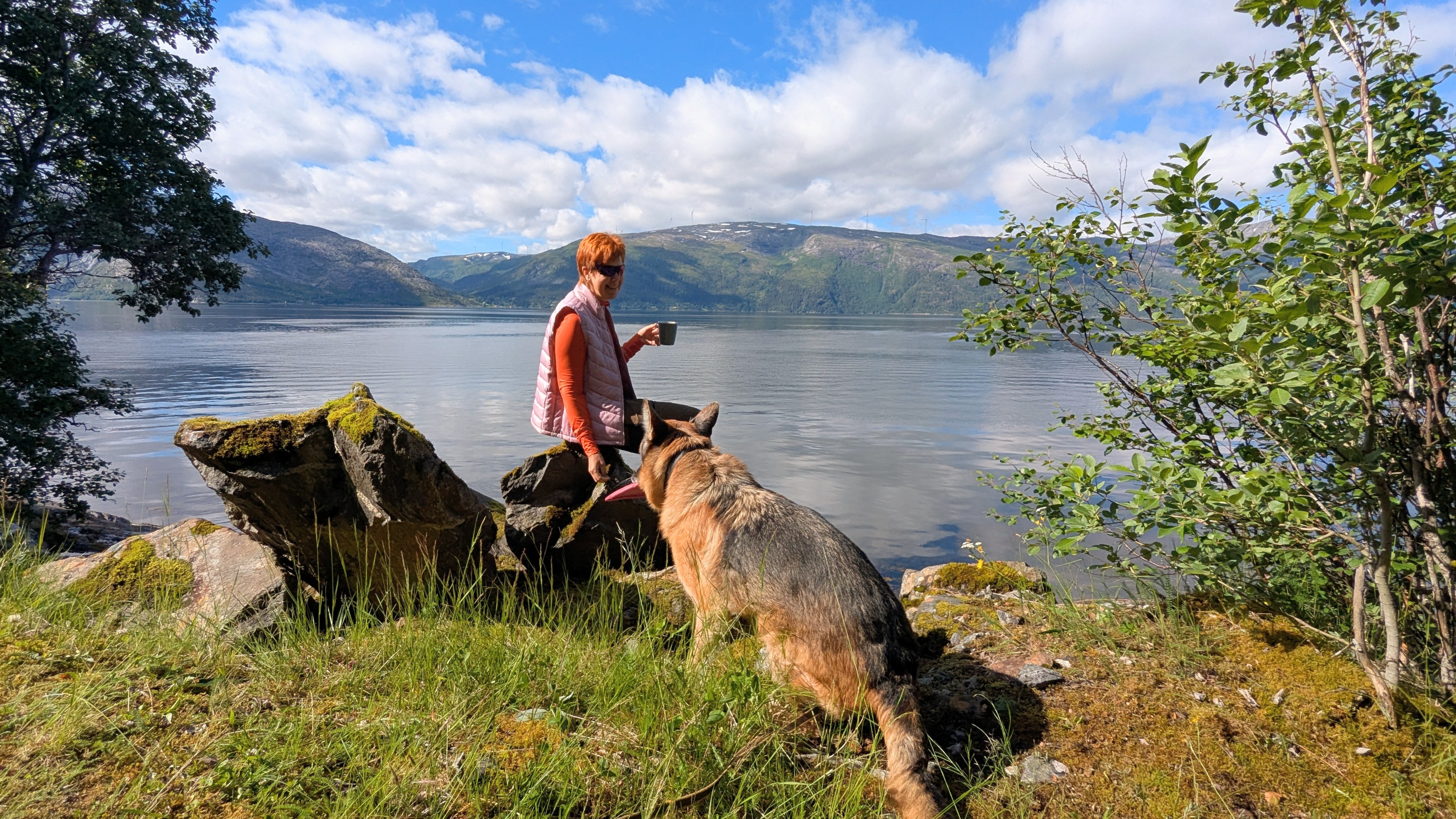 На берегу Vefsnfjorden, между Holand и Søfting