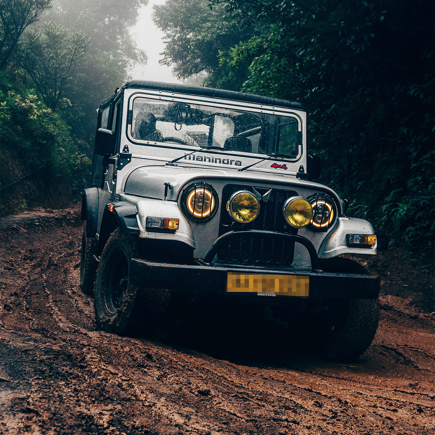 © Murali Dharan / Pexels