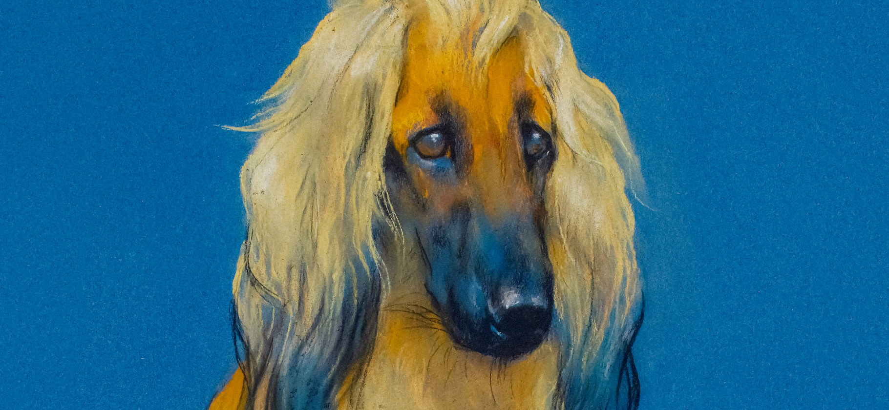 У вашего питомца редкая порода? Расскажите и пока­жите