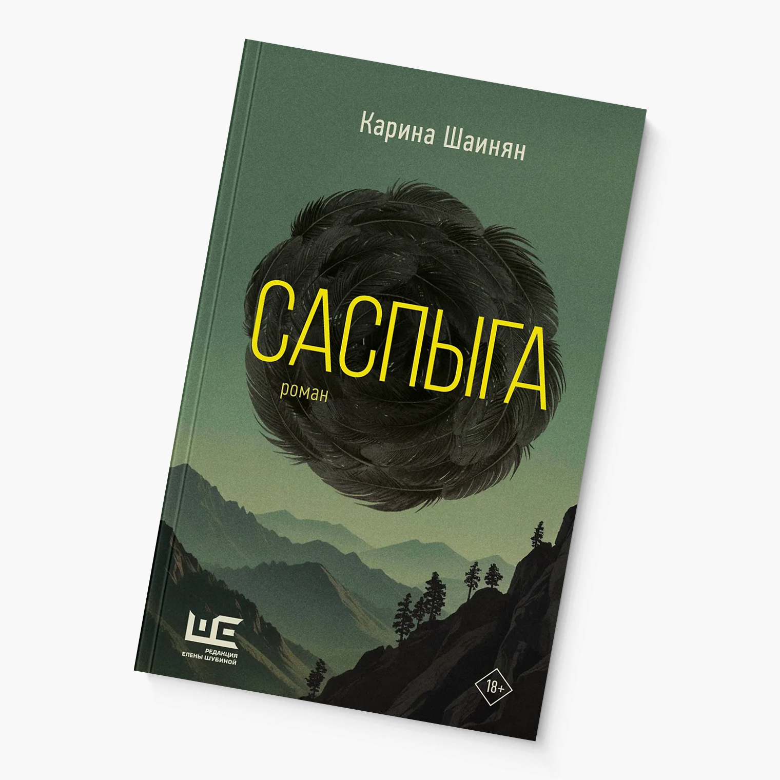 До «Саспыги» Карина Шаинян выпустила множество книг, в числе которых — роман «С ключом на шее»