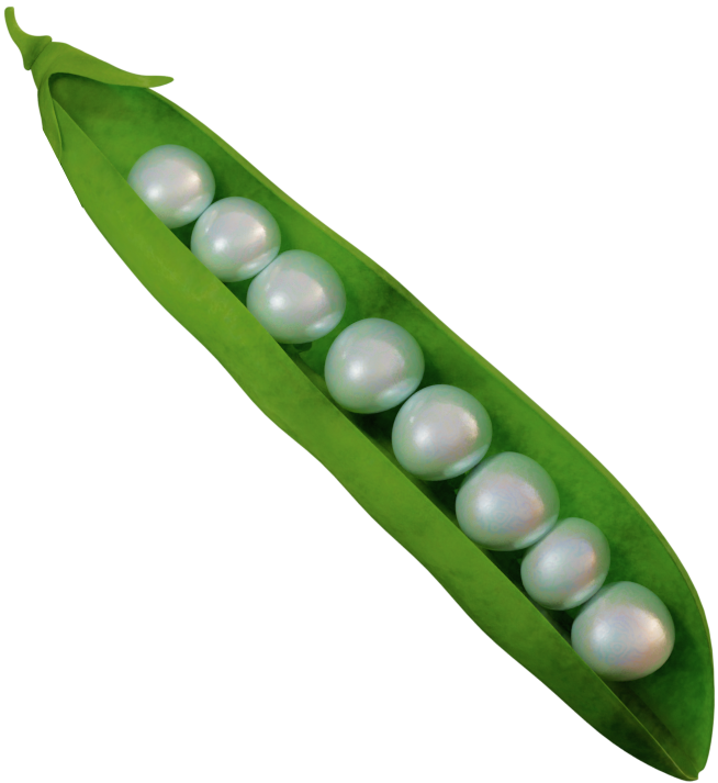 Лейбл заголовка