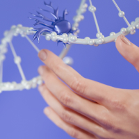 Обложка статьи