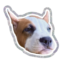 Обложка статьи