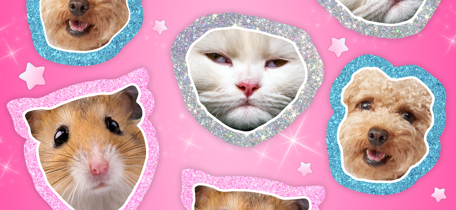 Реалити: мой питомец