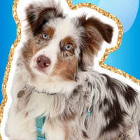 Обложка статьи