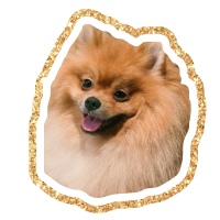 Обложка статьи