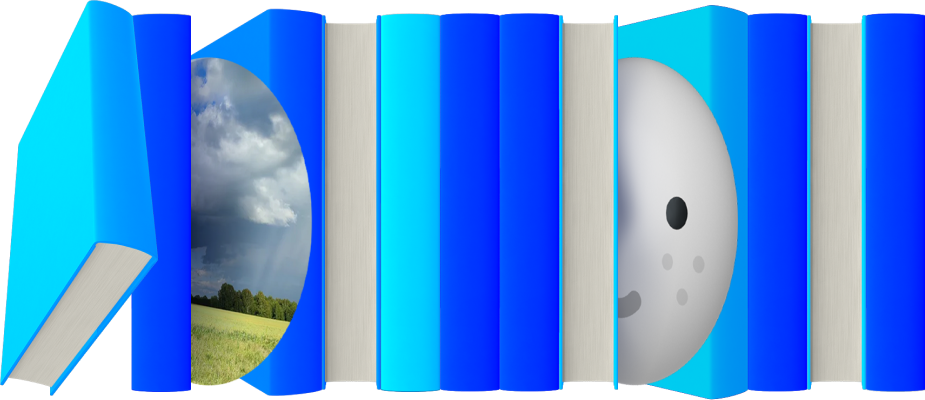 «Дом тишины», «Американский психопат» и еще 7 книг декабря