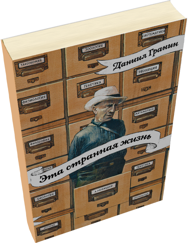 Лейбл заголовка