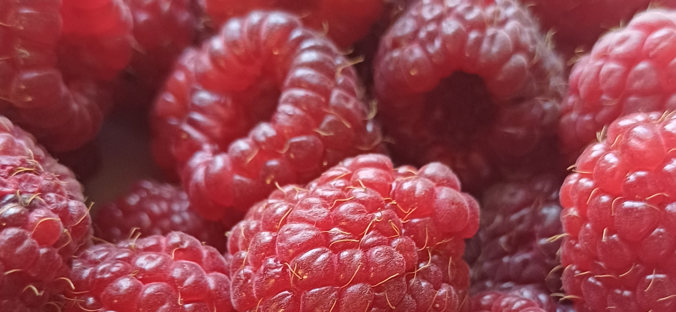 Мой рецепт: меренговый рулет