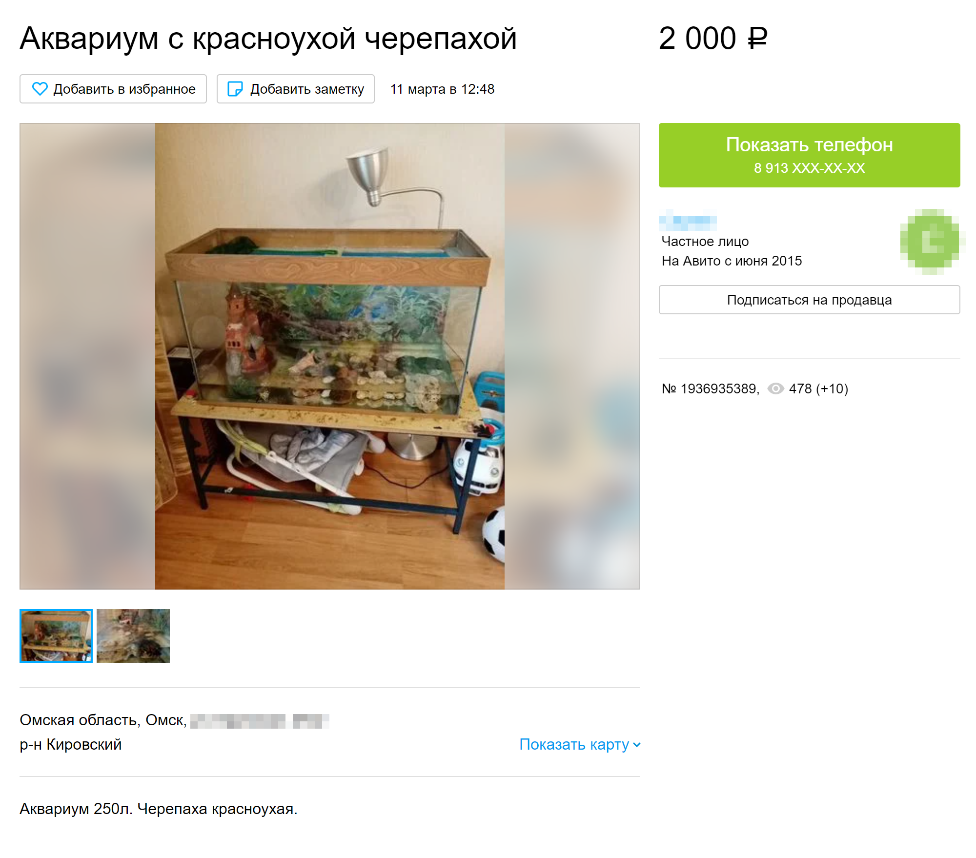Вот продают маленькую черепашку с аквариумом за 2000 ₽. Источник: «Авито»