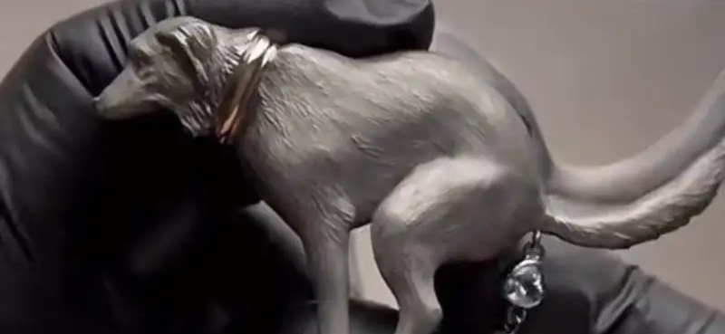 Бесит реклама броши в виде какающей собаки