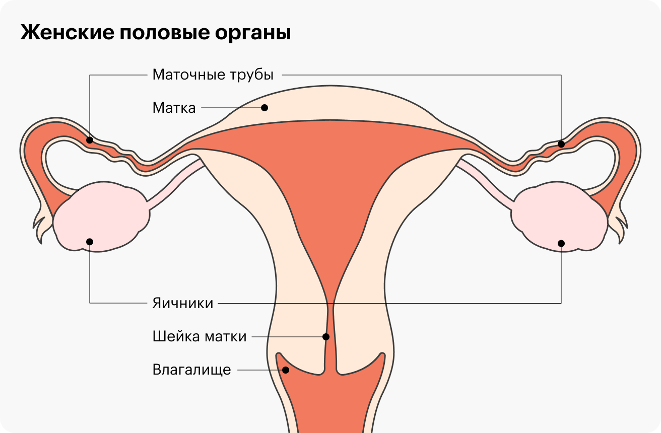 Механические причины бесплодия могут быть связаны с непроходимостью маточных труб, изменениями внутри самой матки или ее шейки