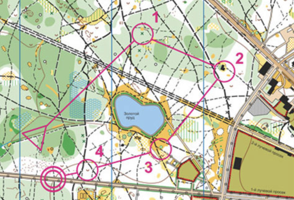 Это спортивное ориентирование: маршрут уже проложен и нарисован на карте — получил карту и бежишь. Источник: orient-murman.ru