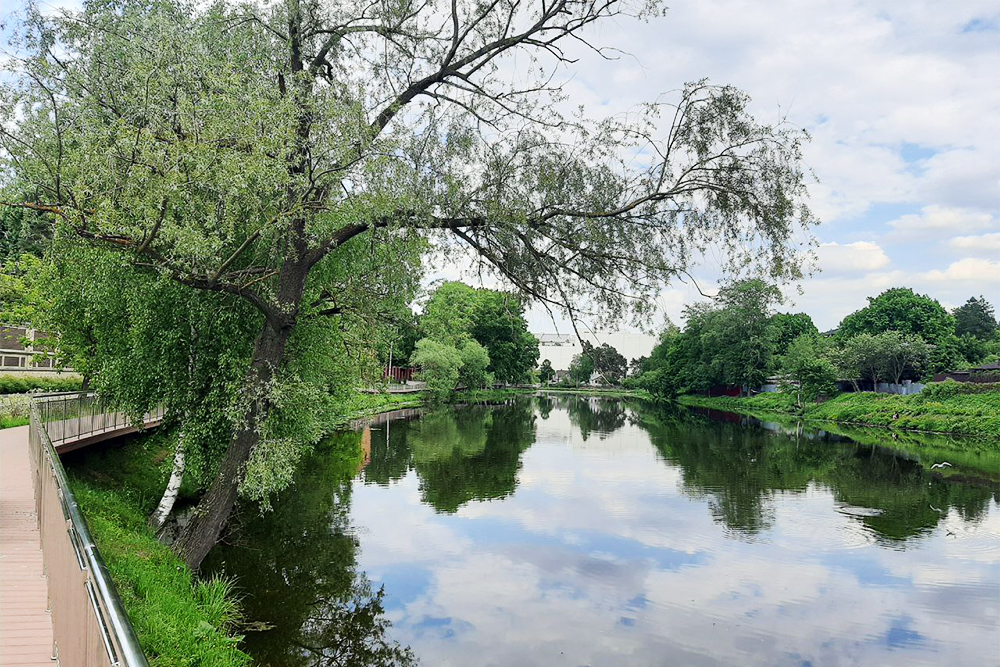 Большой Немчиновский пруд в 2021 году обустроили набережной