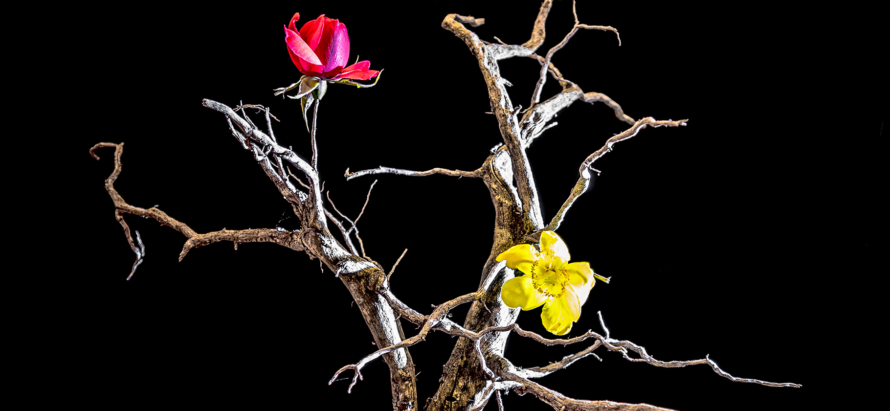 В России выросла заболе­ваемость раком молочной железы: с чем это связано