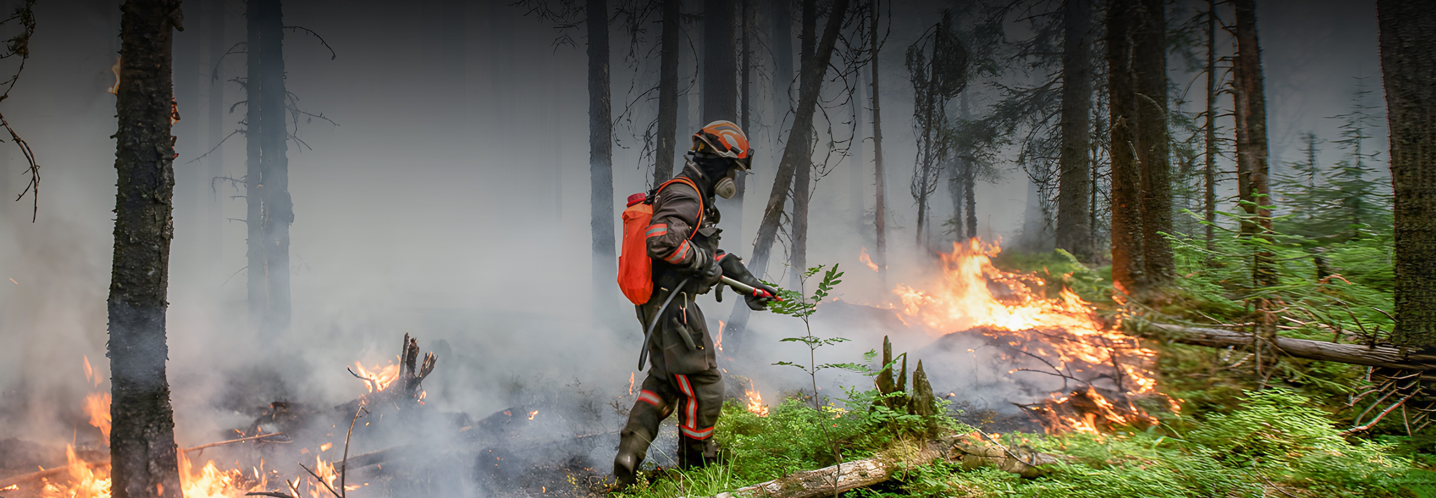 8 мифов о природных пожарах