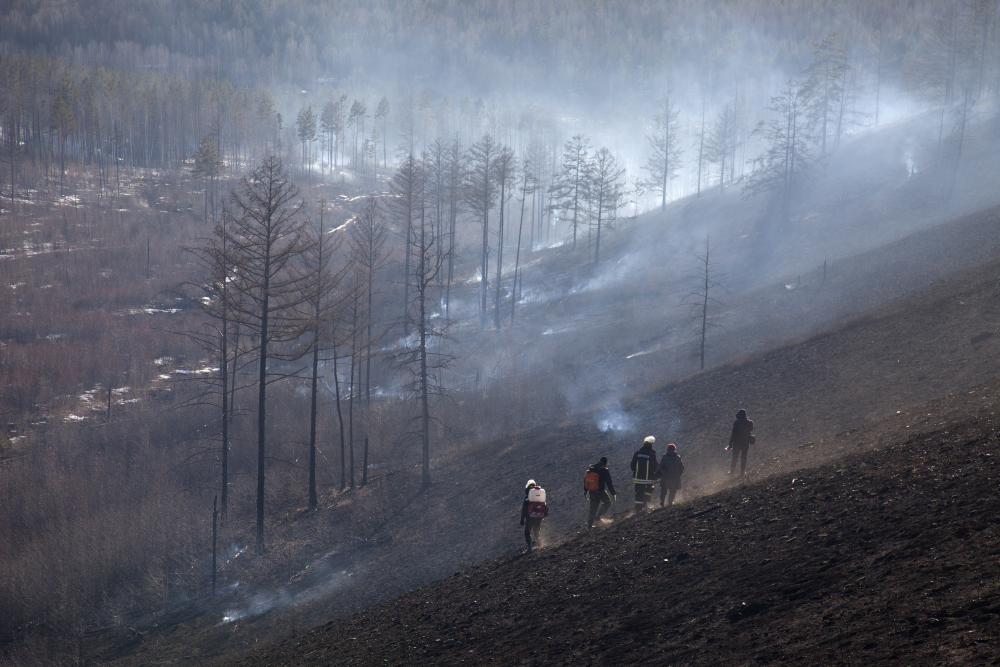 Пожары 2019 года в Забайкалье. Фото: Мария Васильева