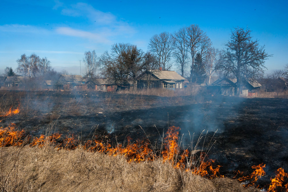 Травяной пожар, который устроили жители деревни Городечня в Брянской области в 2015 году. Фото: Игорь Подгорный